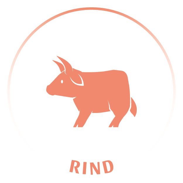 Tiericons_20240403_Rind_(13)