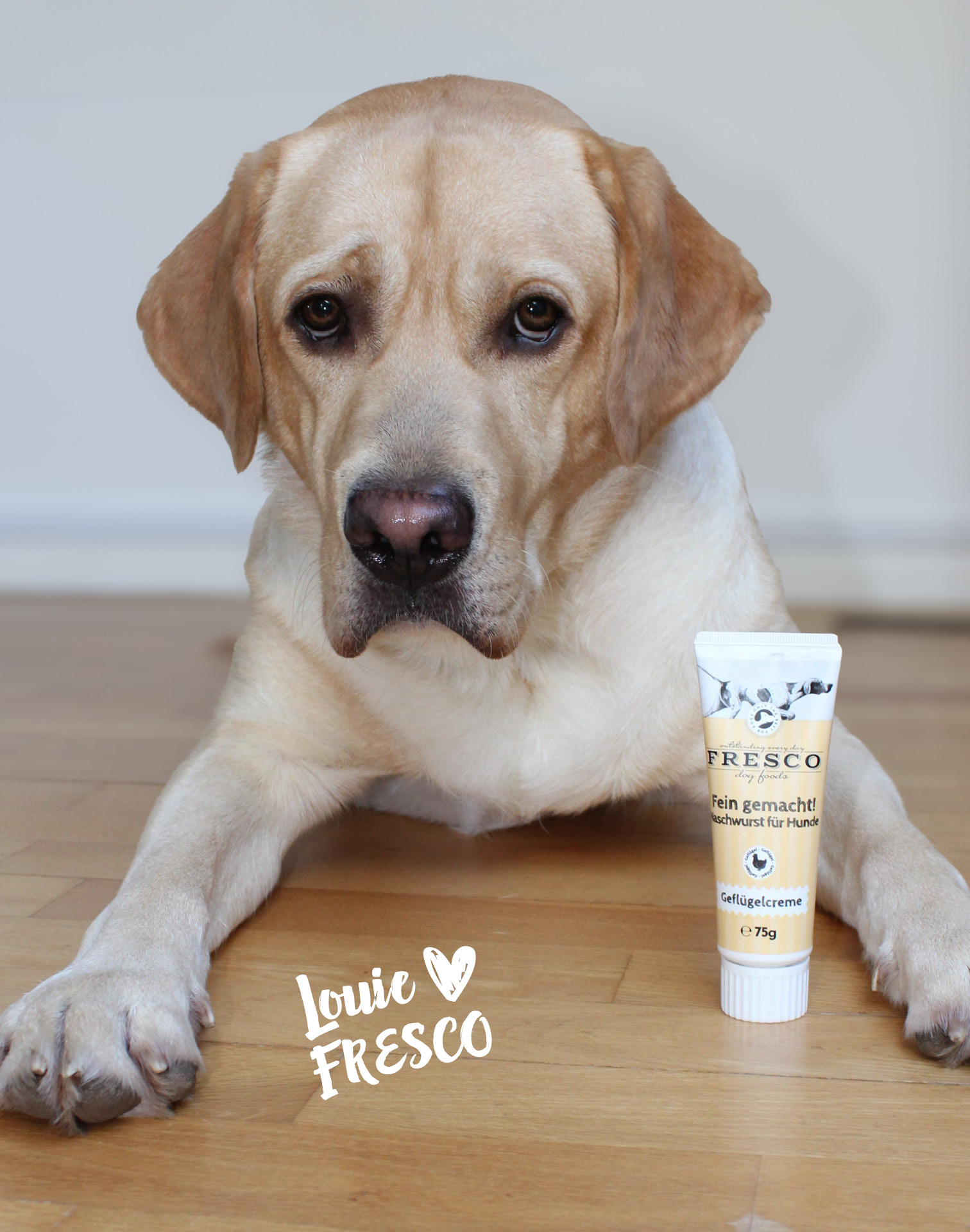 Hund mit FRESCO Fein gemacht Naschwurst