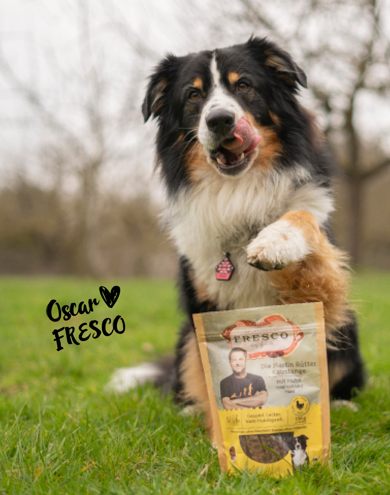 Hund sitzt auf einer Wiese und gibt die Pfote neben einer Packung Martin Rütter Kaustange mit Huhn