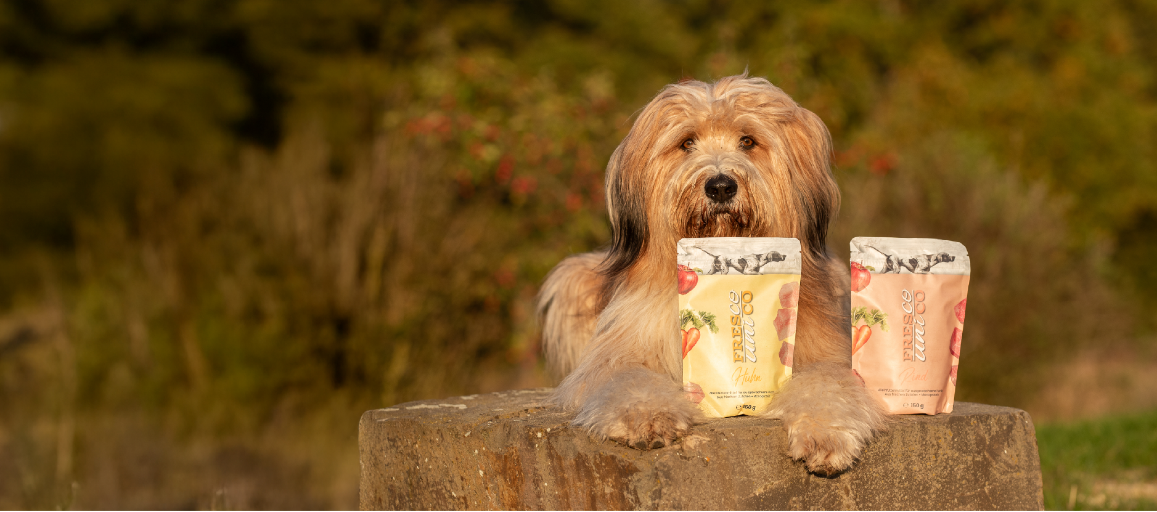 Hund mit FRESCO unico Trockenfutter
