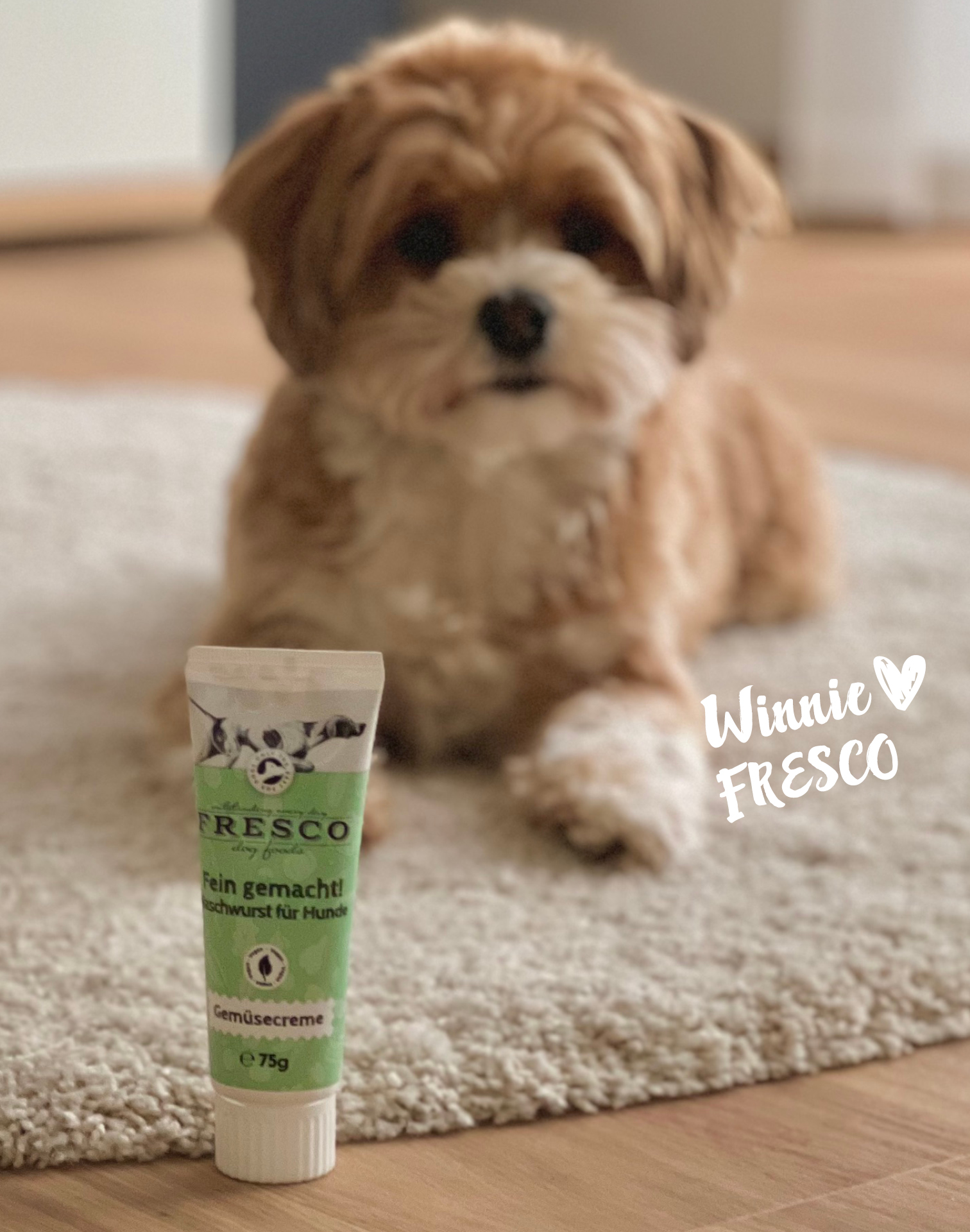 Hund mit FRESCO Fein gemacht Naschwurst