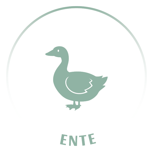 Tiericons_20240403_Ente_(15)