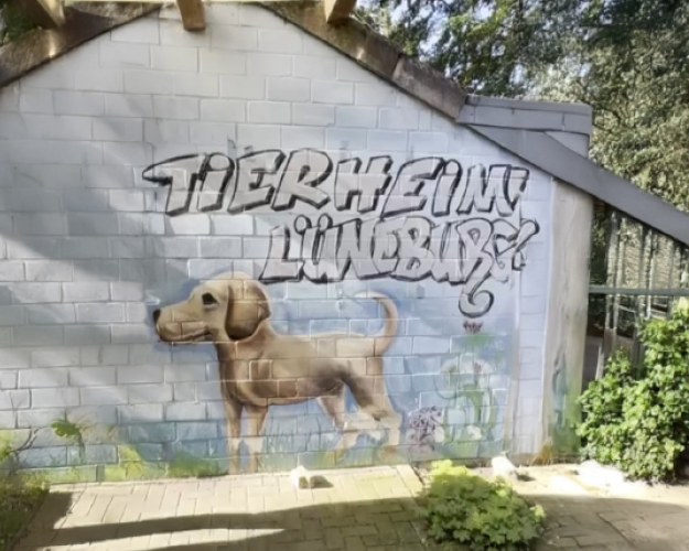 Tierheim Lüneburg