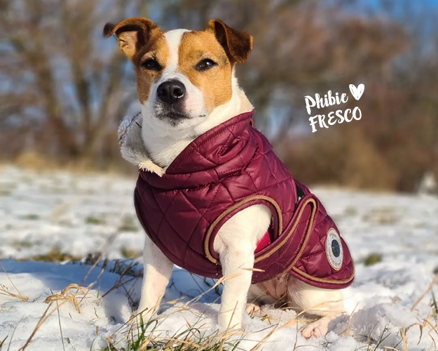 Phiebie liebt FRESCO