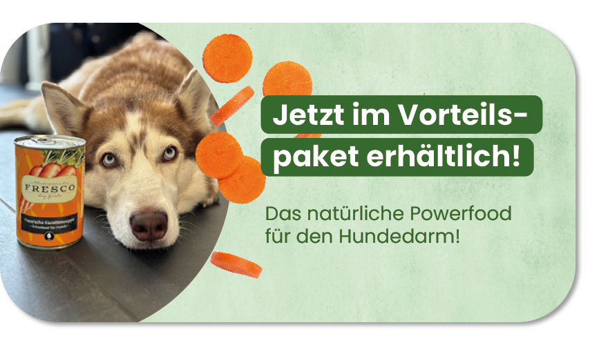 FRESCO Moror'sche Karottensuppe Vorteilspaket