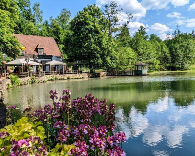 FRESCO_Landingpage_Hundehotels_202511245_(1)