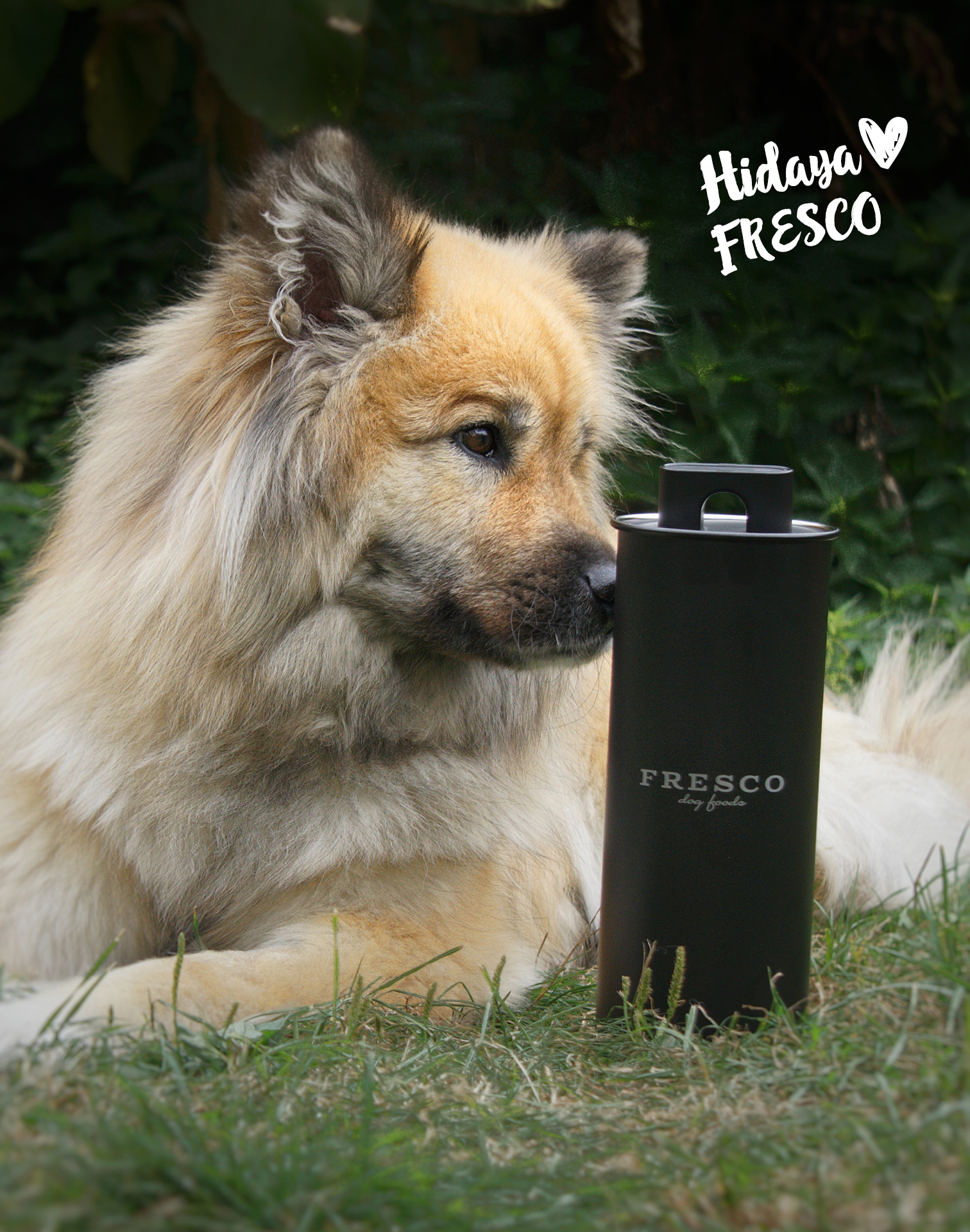 Hund mit FRESCO Edelstahl Vorratsdose
