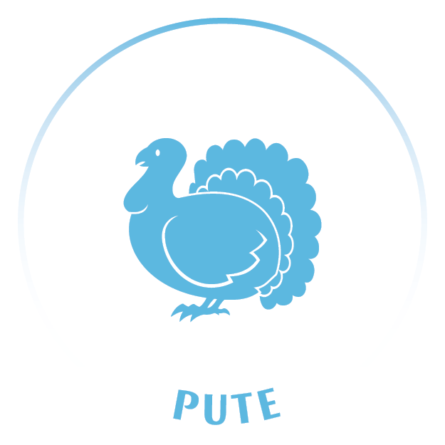 Tiericons_20240403_Pute_(15)