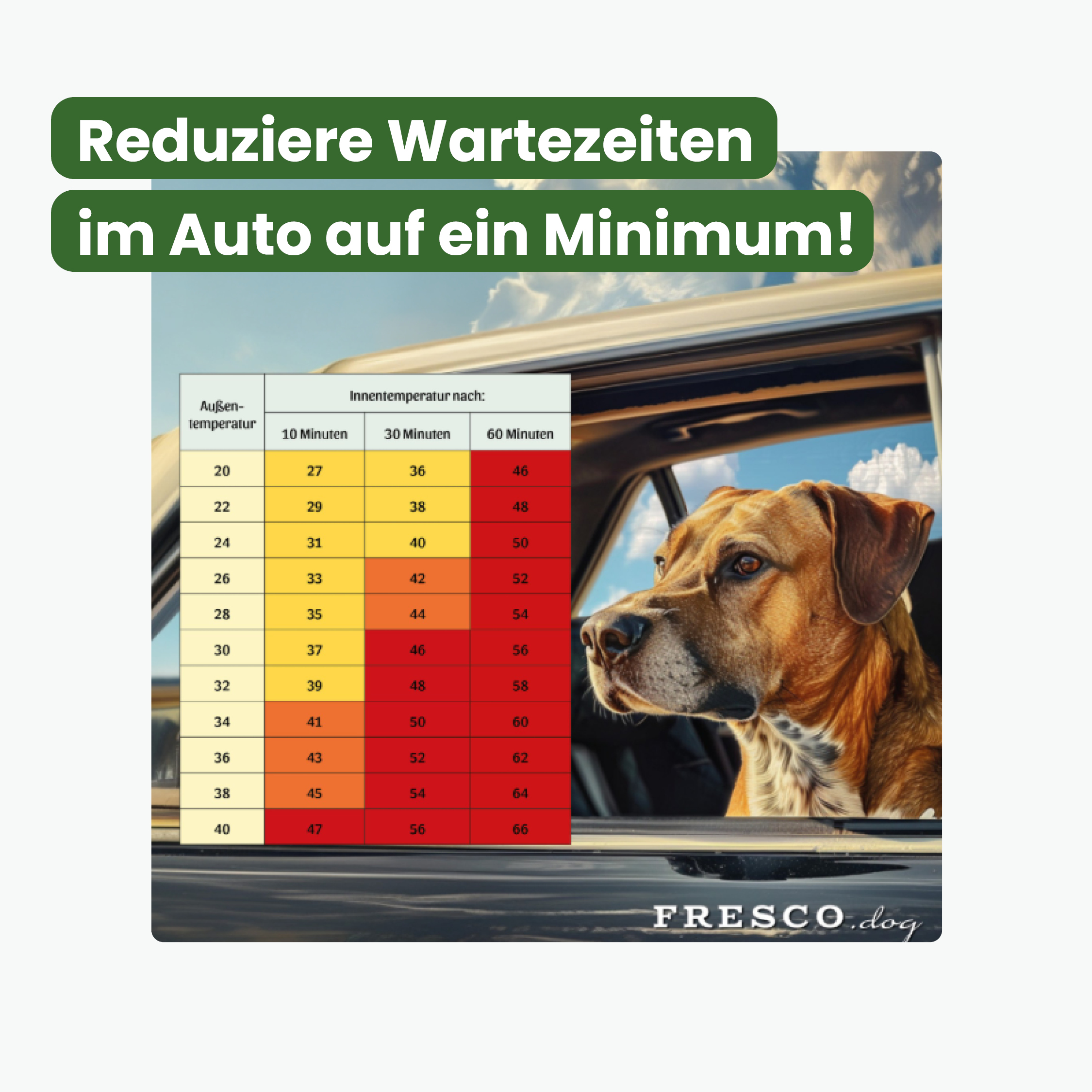 Hund im auto hitzetabelle
