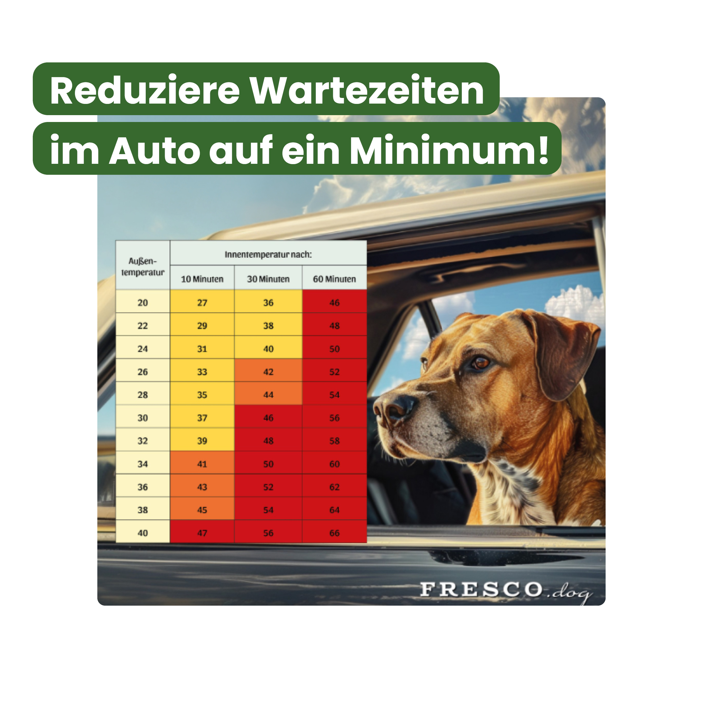 Hund im auto hitze