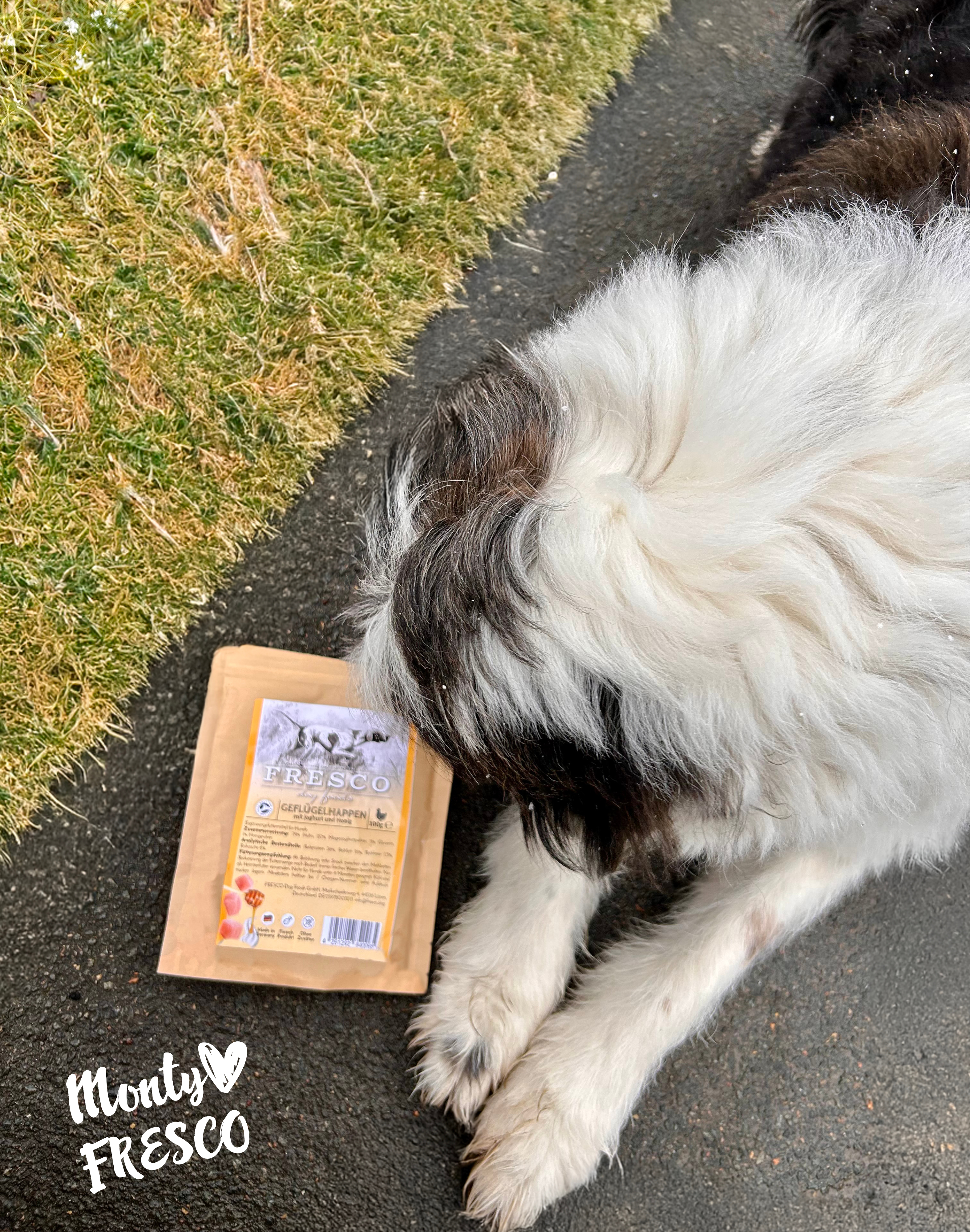Hund mit FRESCO Leckerlies