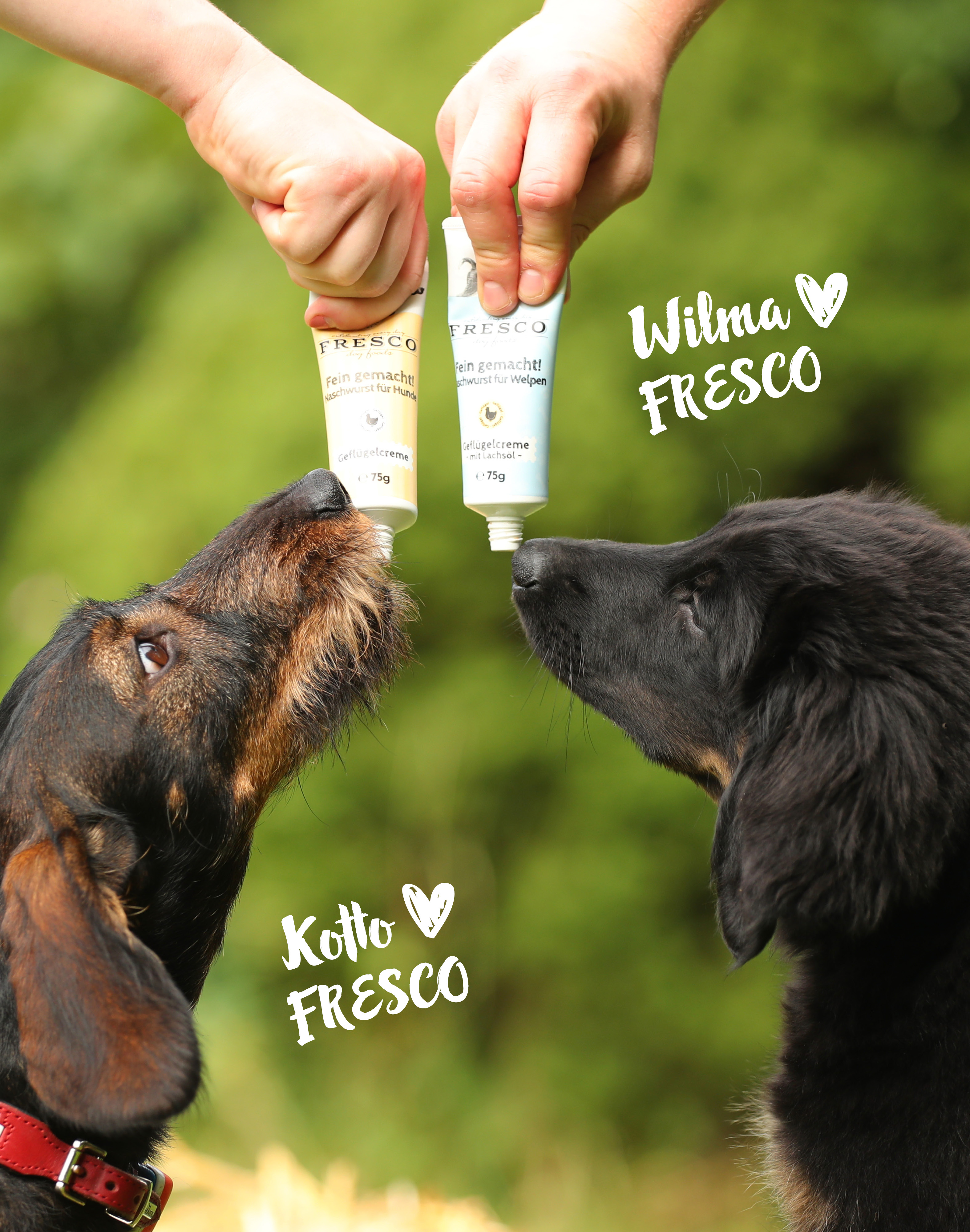 Zwei Hunde schlecken an der Geflügelcreme Tube