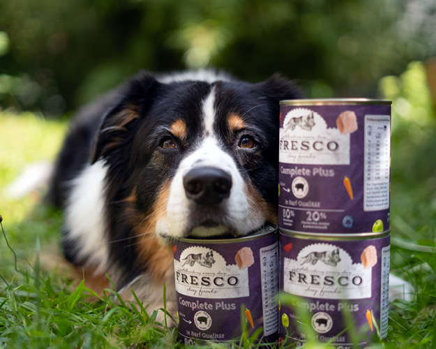 FRESCO_Ratgeber_Beitrge_darf hund schweinefleisch essen