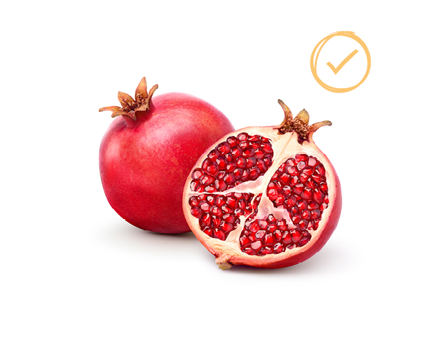FRESCO_Landingpage_Futterkompendium_202511122