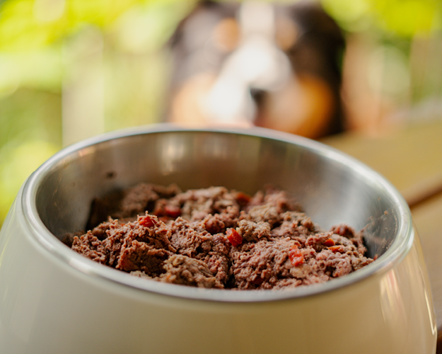 FRESCO_Ratgeber_hund-gesund-ernaehren2
