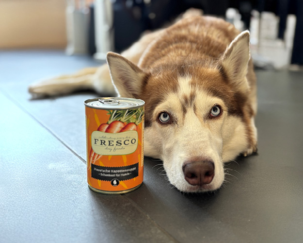 Hund mit Moro'sche Karottensuppe