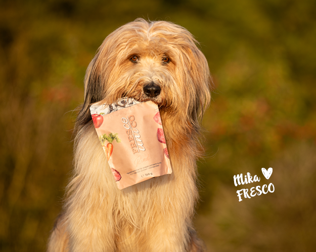 Mika liebt FRESCO