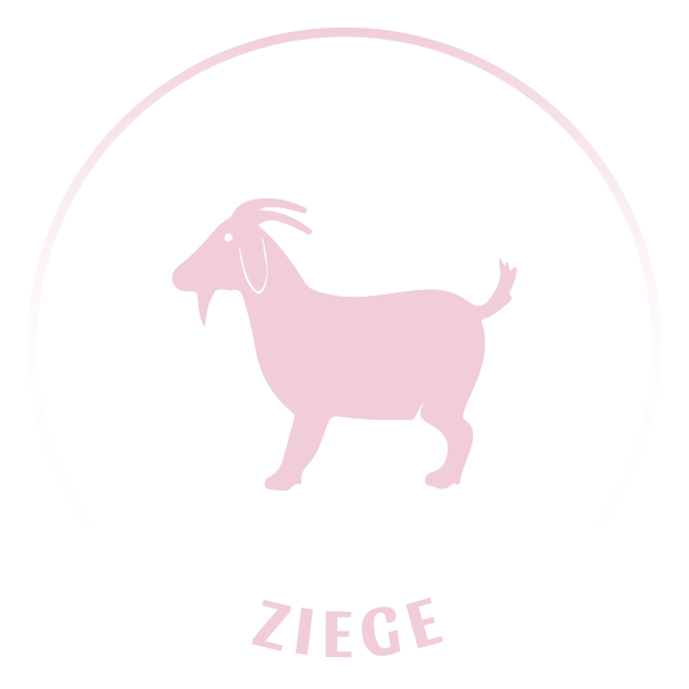 Tiericons_20240403_Ziege_(15)
