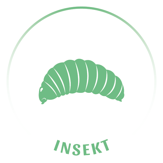 Tiericons_20240403_Insekt_(18)
