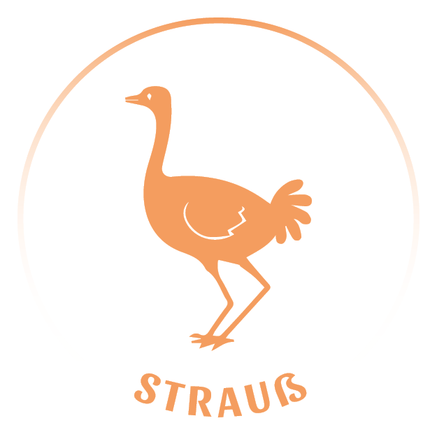 Tiericons_20240403_Strau_(17)