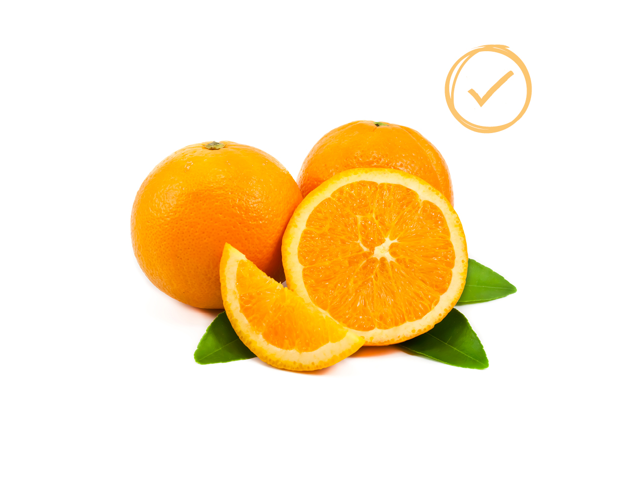 FRESCO_Landingpage_Futterkompendium_2025061256