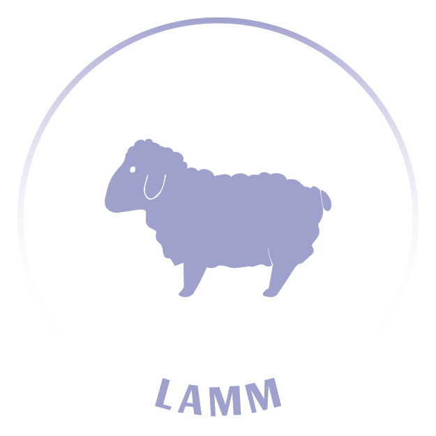 Tiericons_20240403_Lamm_(14)