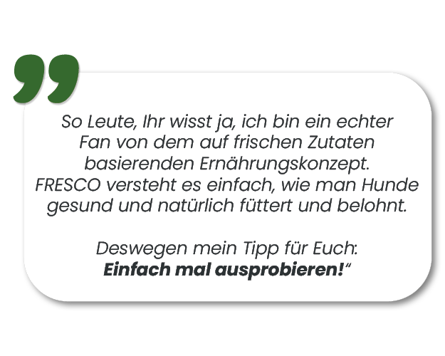 FRESCO_Zitat_Martin Rtter_mobil