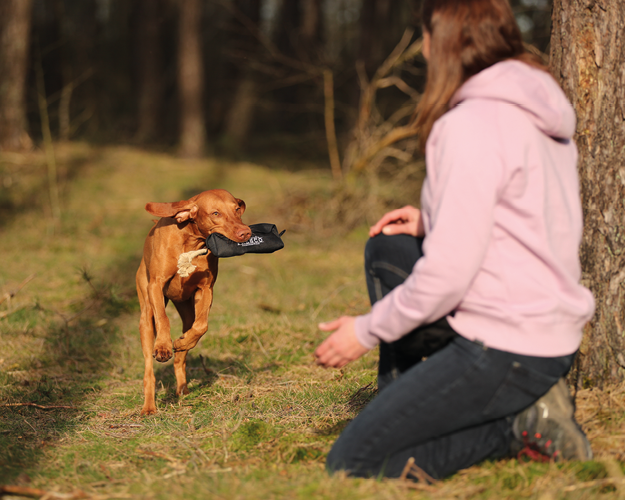 FRESCO_Ratgeber_Beitrge_20240508_Training