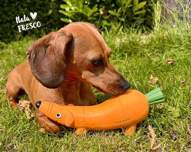 Nala liebt FRESCO