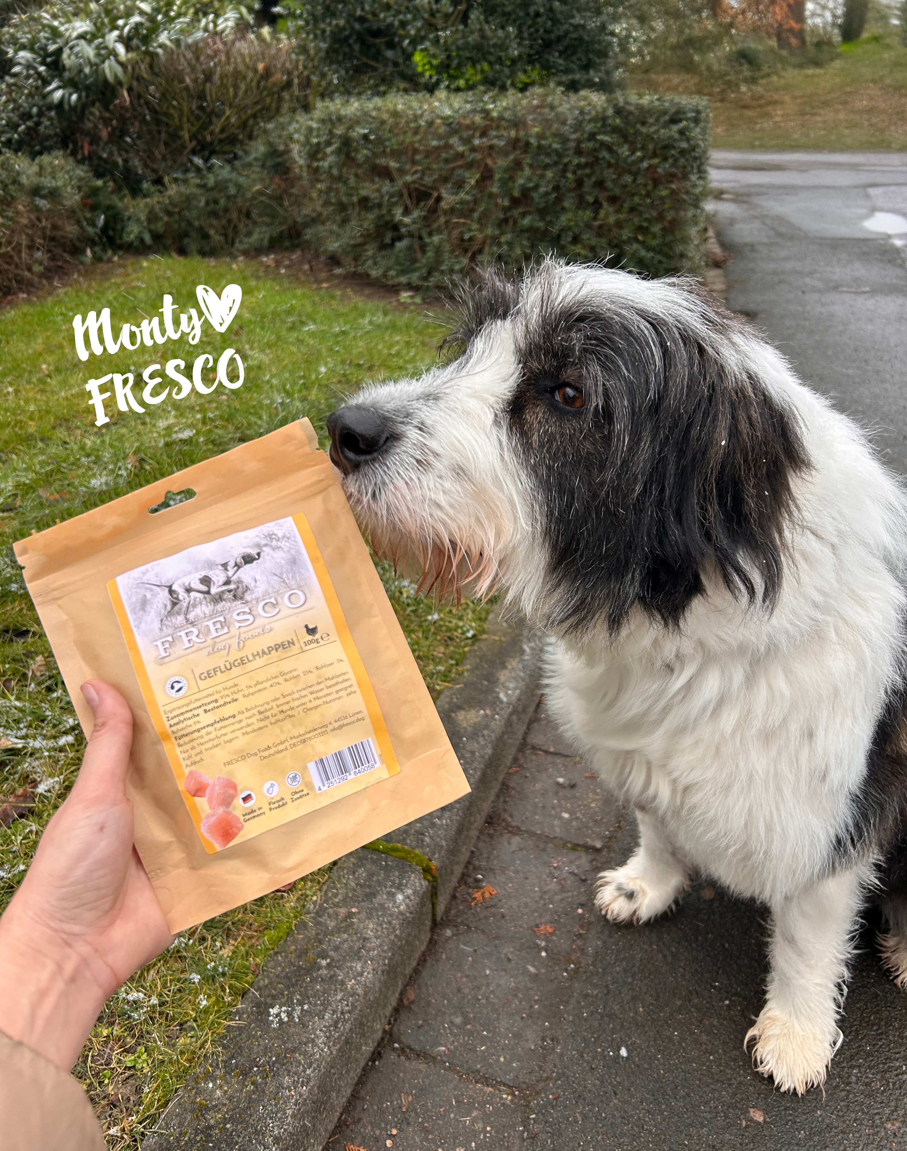 Hund mit FRESCO Leckerlies