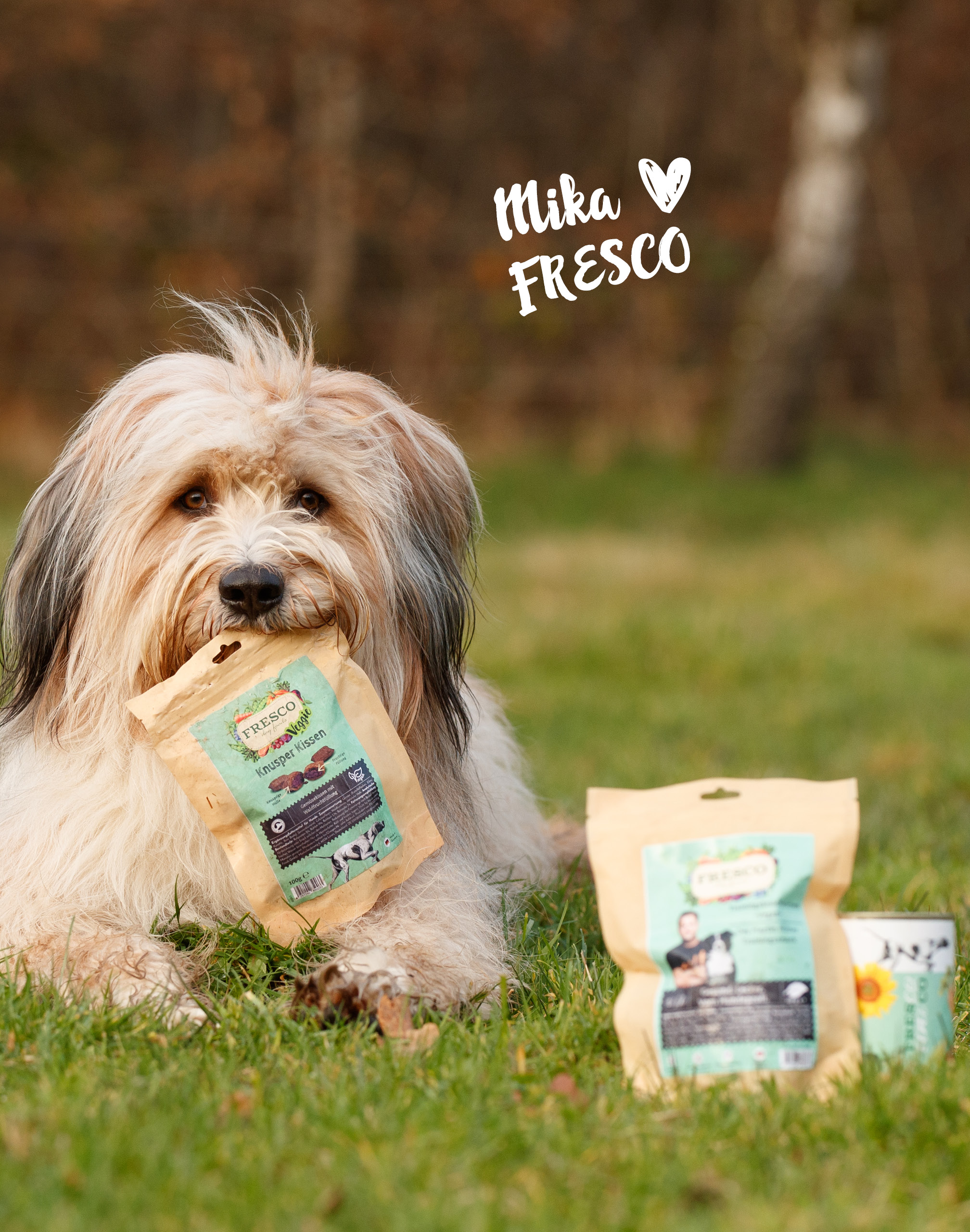 vegane Hundeernährung mit FRESCO