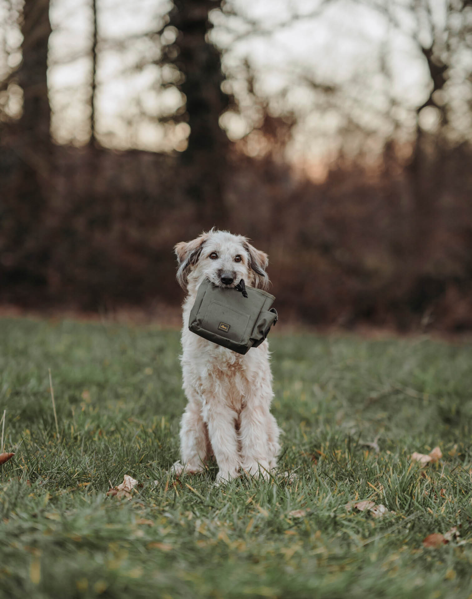 Hund mit Hunter Snacktasche