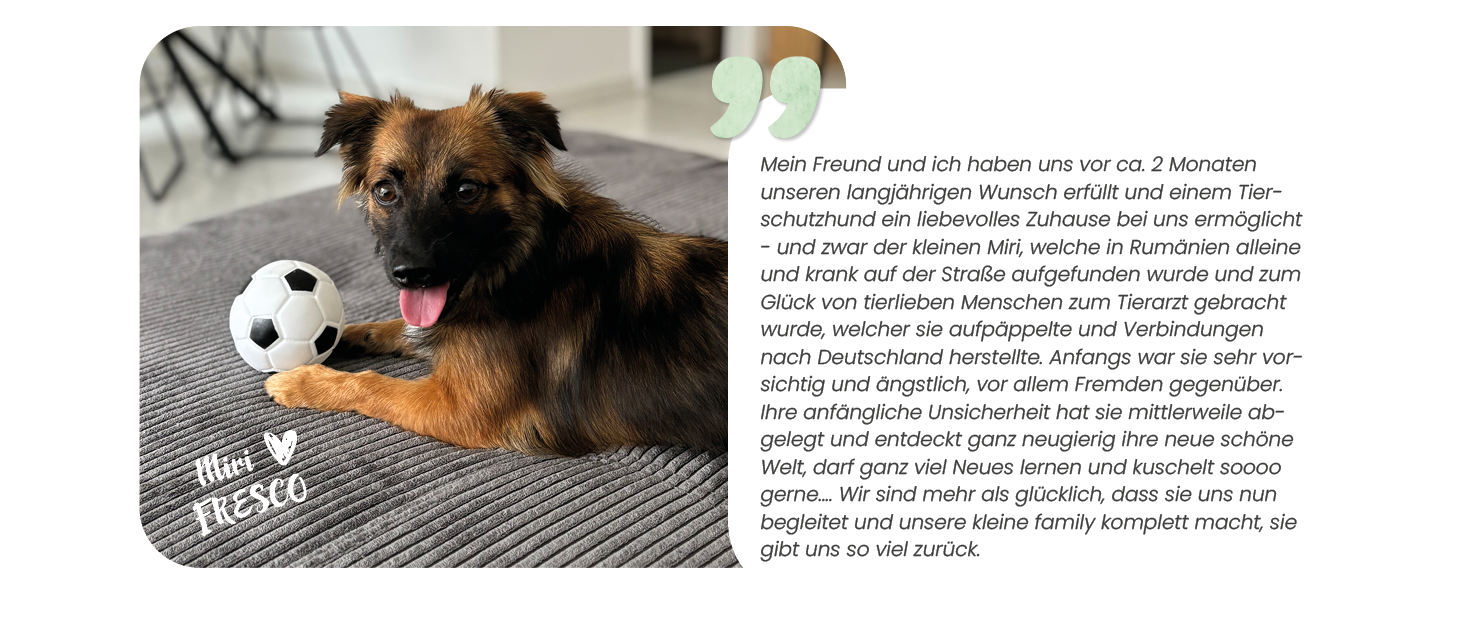 FRESCO_Tierschutz Storys_20241010