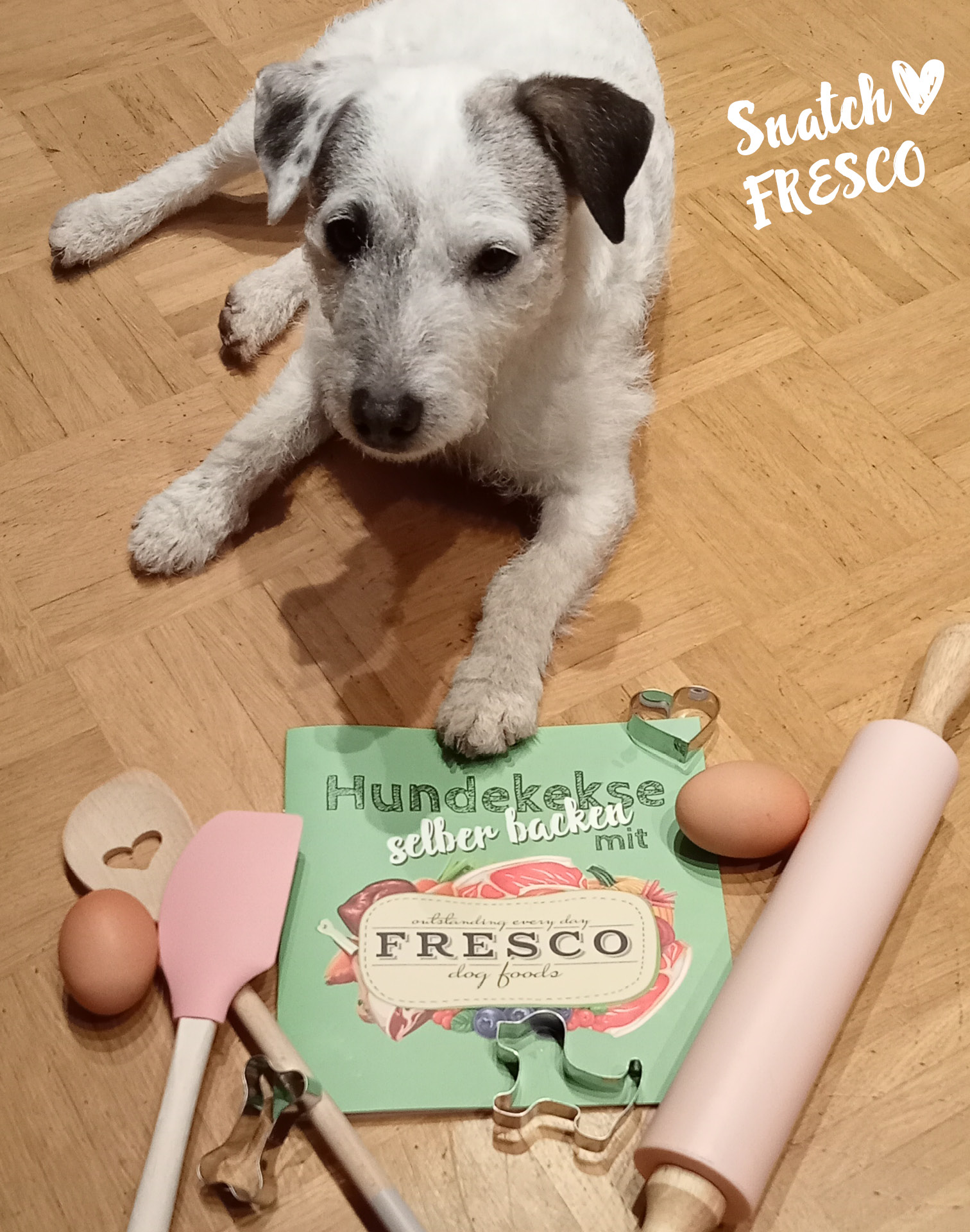 Hund mit Backbuch