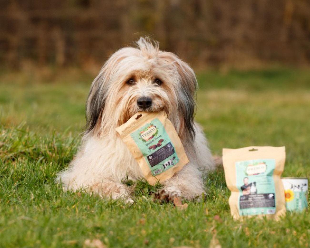 vegane Hundeernährung mit FRESCO