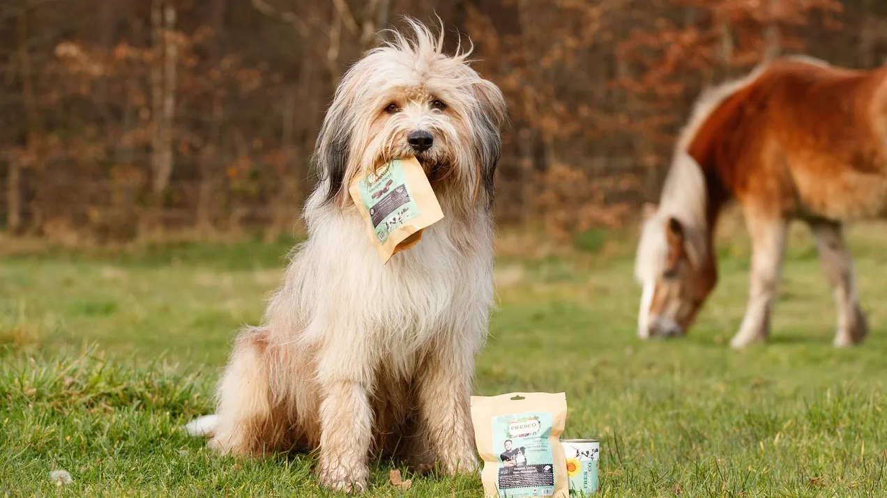 vegane Hundeernährung mit FRESCO