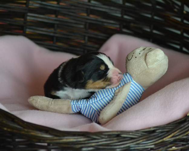 FRESCO_Bilder_Blogbeitrge_202406113
