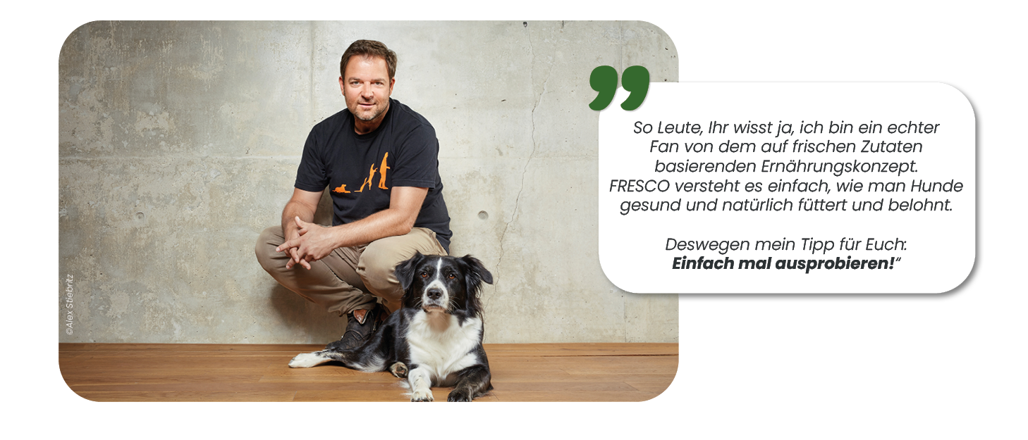 FRESCO_Zitat_Martin Rtter