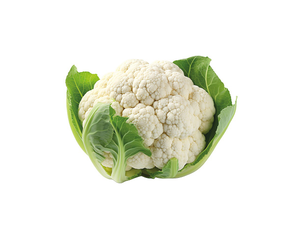 FRESCO_nahrungskompendium_drfen_hunde_blumenkohl_essen6